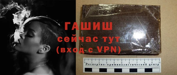 хмурый Гусев