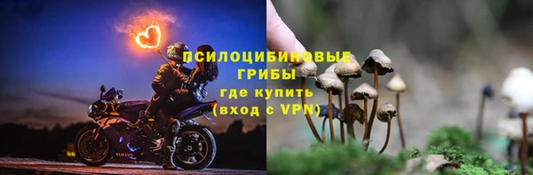 прущая мука Гусиноозёрск