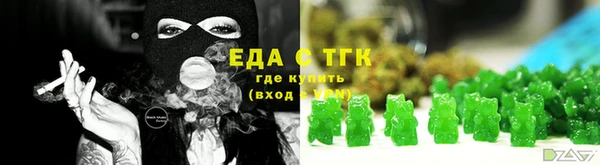 хмурый Гусев