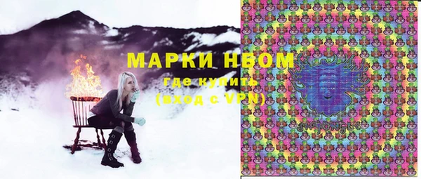 хмурый Гусев