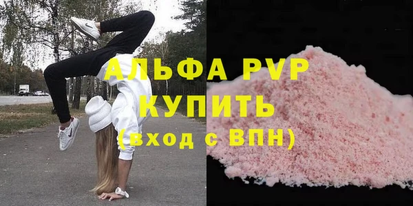хмурый Гусев