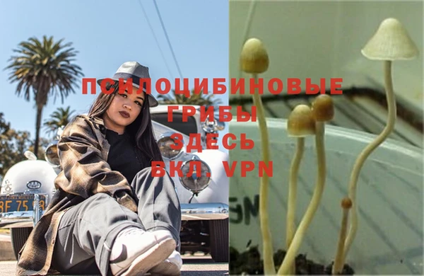 хмурый Гусев