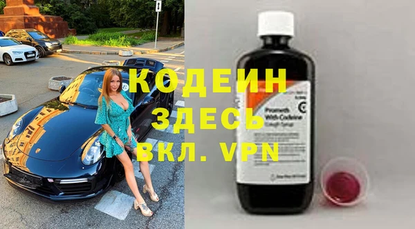 хмурый Гусев