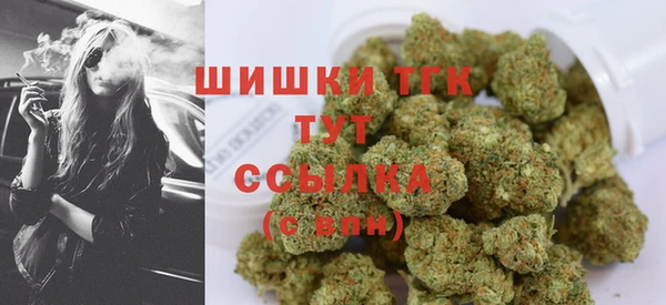 хмурый Гусев