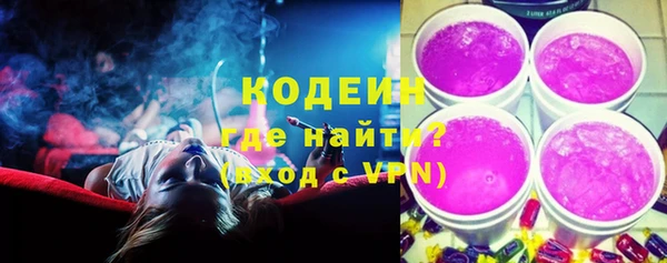 хмурый Гусев